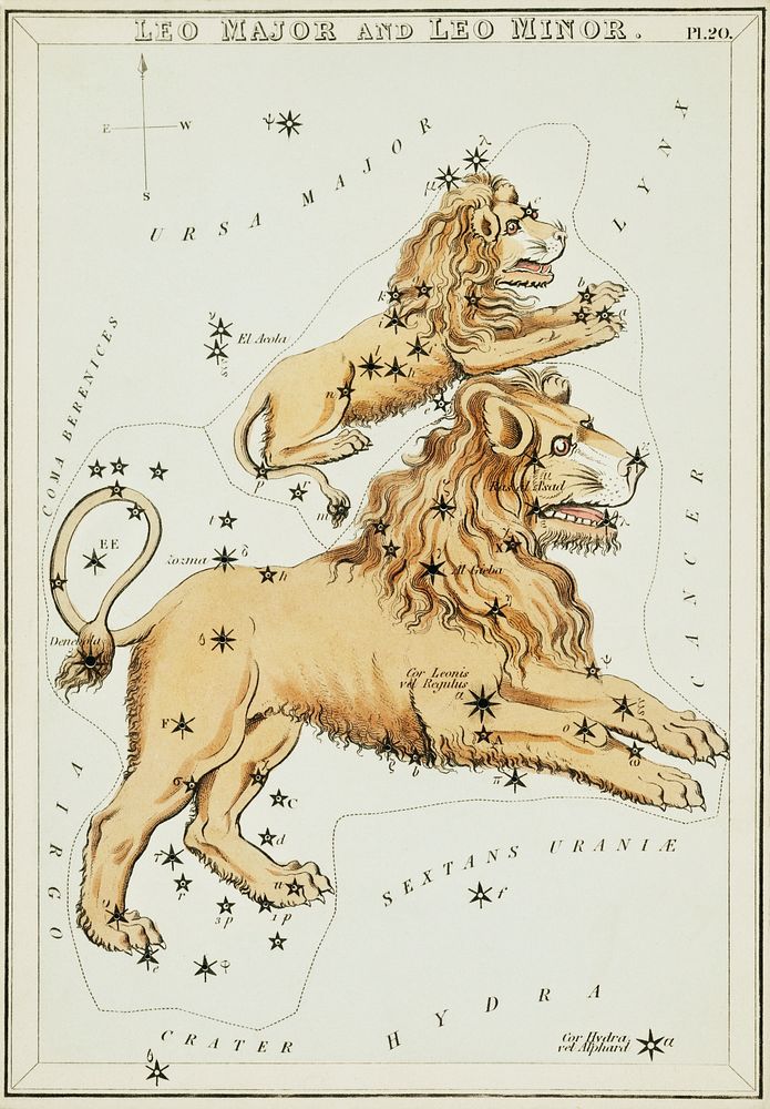 Sidney Hall&rsquo;s (1831) astronomical chart illustration of the Leo Major and the Leo Minor. Original from Library of…