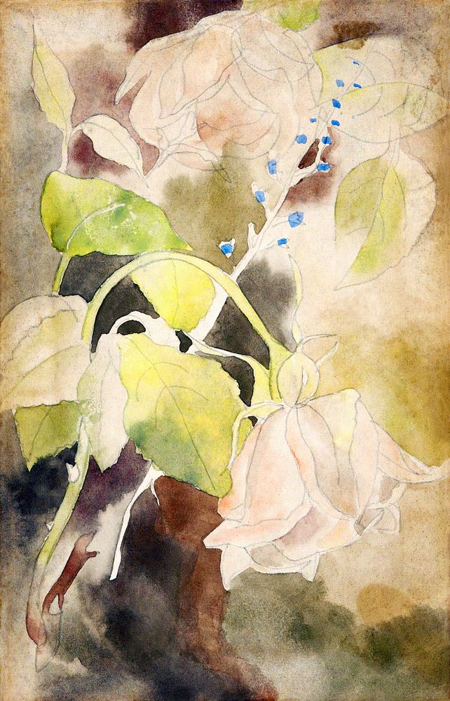 Peachy Rose (ca.1915) by Charles Demuth. Original from Yale University Art Gallery. Digitally enhanced by rawpixel.