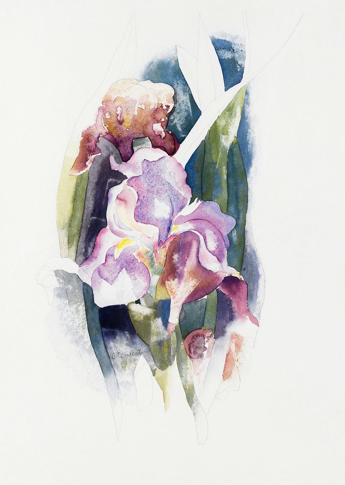 Purple Iris (ca. 1920) painting in high resolution by Charles Demuth. Original from The MET Museum. Digitally enhanced by…
