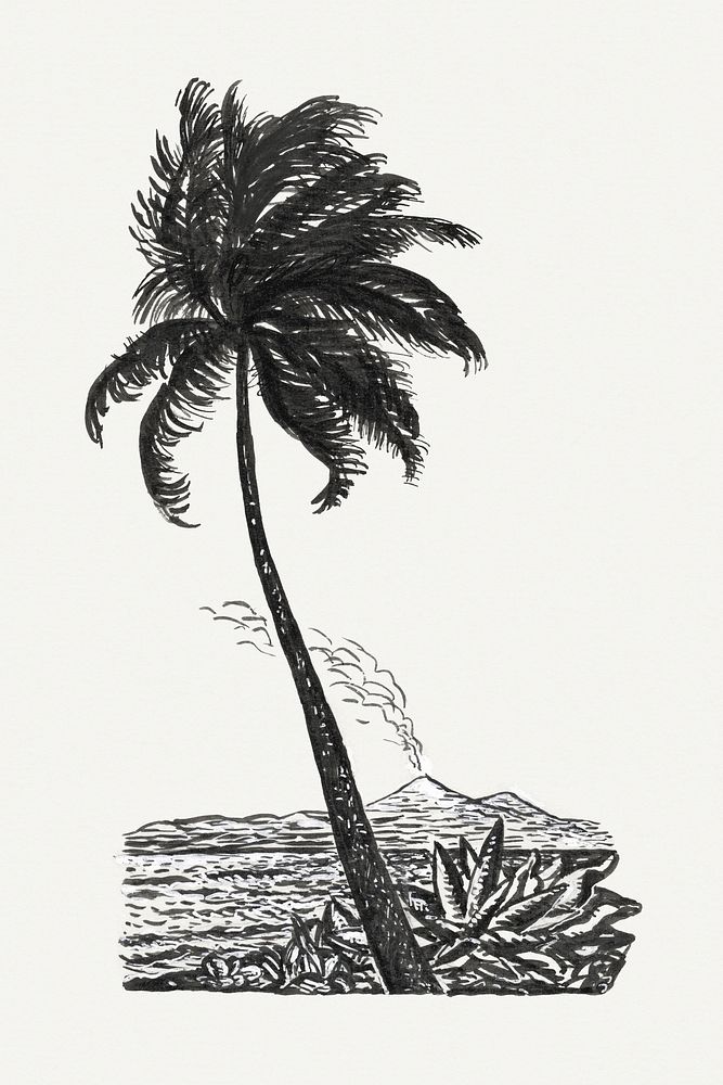 Palm tree with an island (ca. 1891&ndash;1941) drawing in high resolution by Leo Gestel. Original from The Rijksmuseum.…
