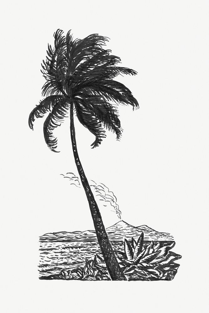 Palm tree psd vintage drawing, remixed from artworks from Leo Gestel