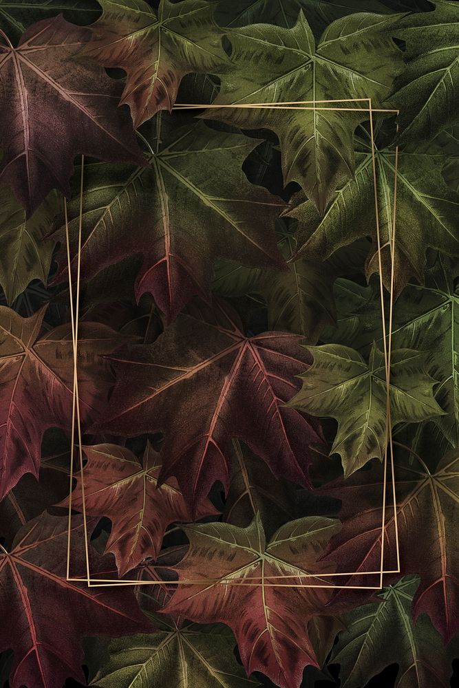 Rectangle gold frame on hand drawn autumn maple leaf patterned background illustration