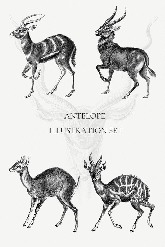 Vintage antelope illustration poster template