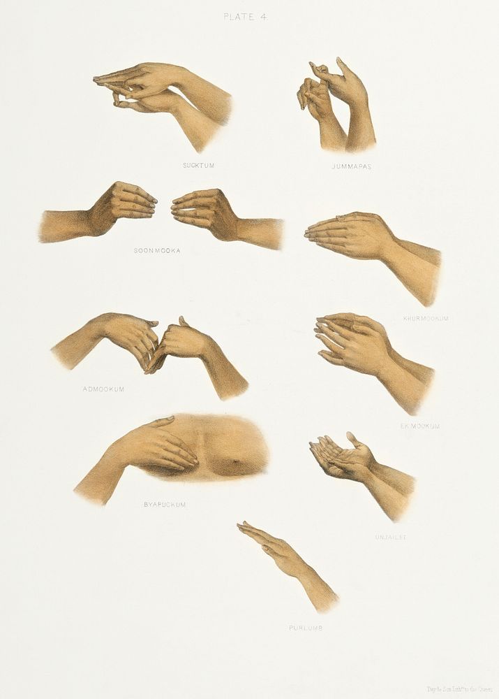 Hand signs from The Sundhya or the Daily Prayers of the Brahmins (1851) by Sophie Charlotte Belnos (1795&ndash;1865).