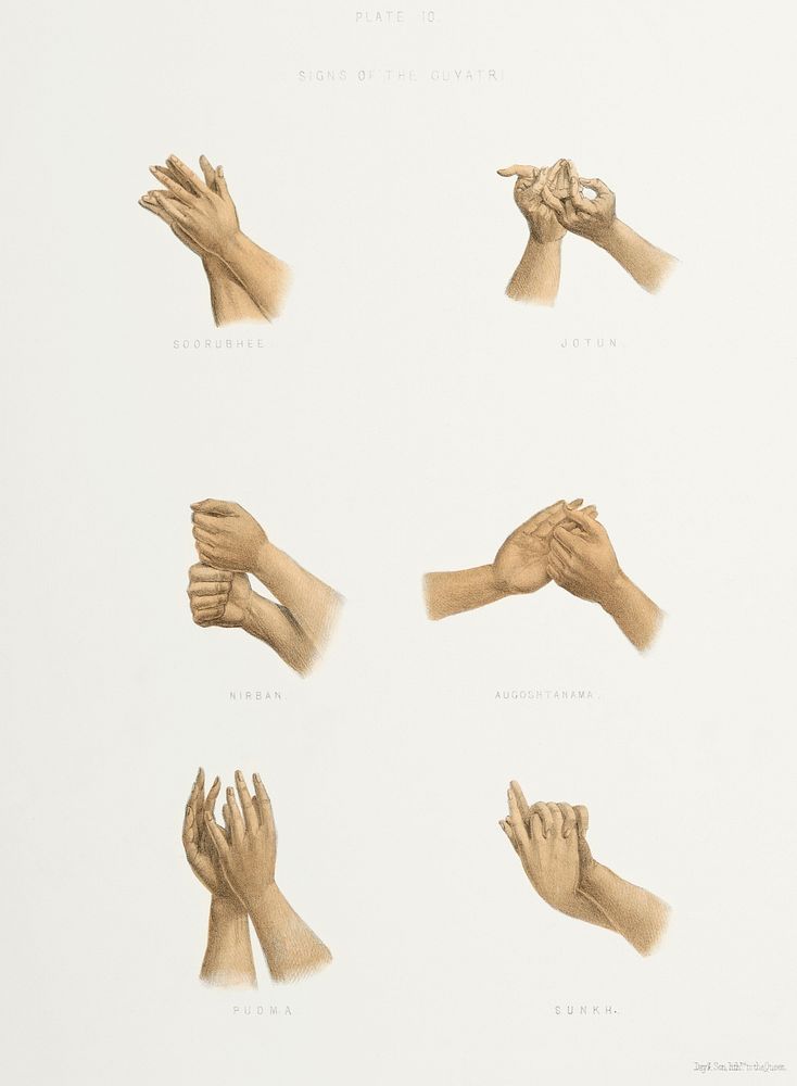 Hand Signs of the Gayatri from The Sundhya or the Daily Prayers of the Brahmins (1851) by Sophie Charlotte Belnos…
