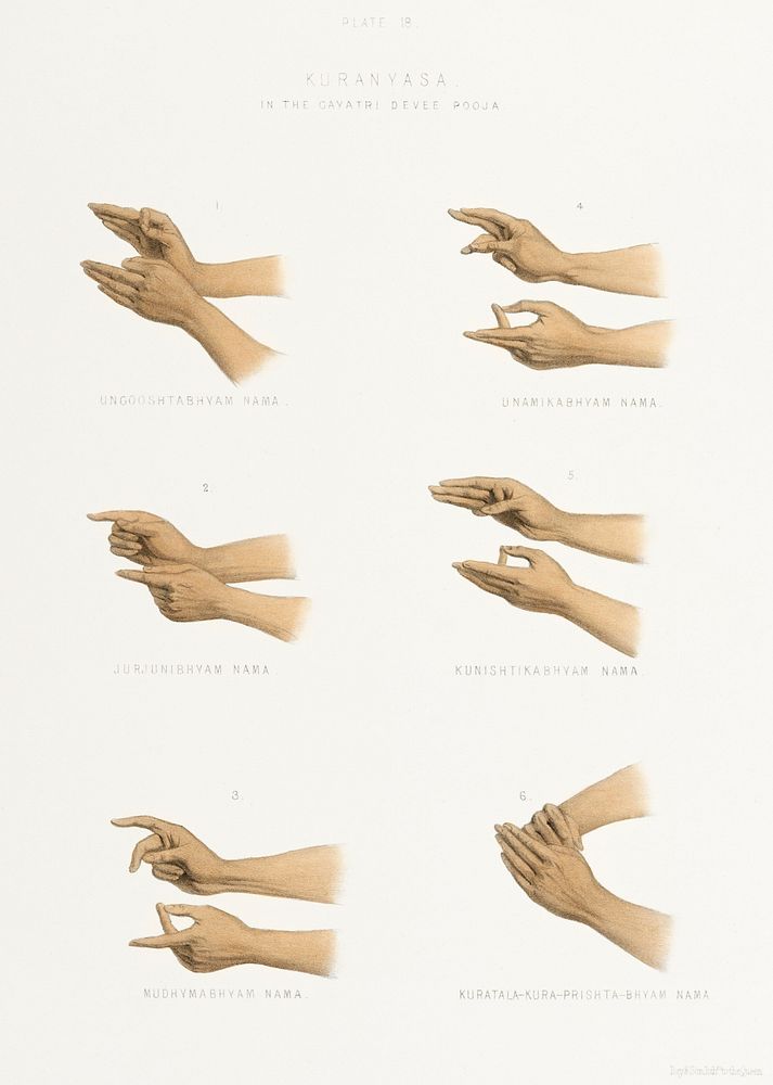 Hand Signs from The Sundhya or the Daily Prayers of the Brahmins (1851) by Sophie Charlotte Belnos (1795&ndash;1865).