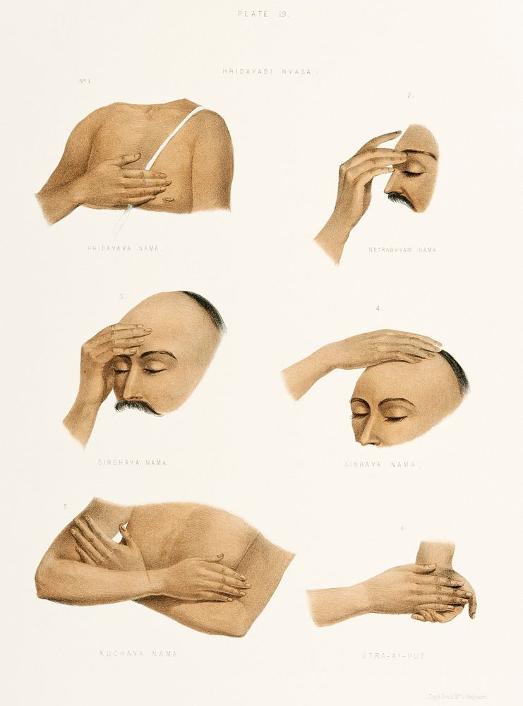 Hand Signs from The Sundhya or the Daily Prayers of the Brahmins (1851) by Sophie Charlotte Belnos (1795&ndash;1865).