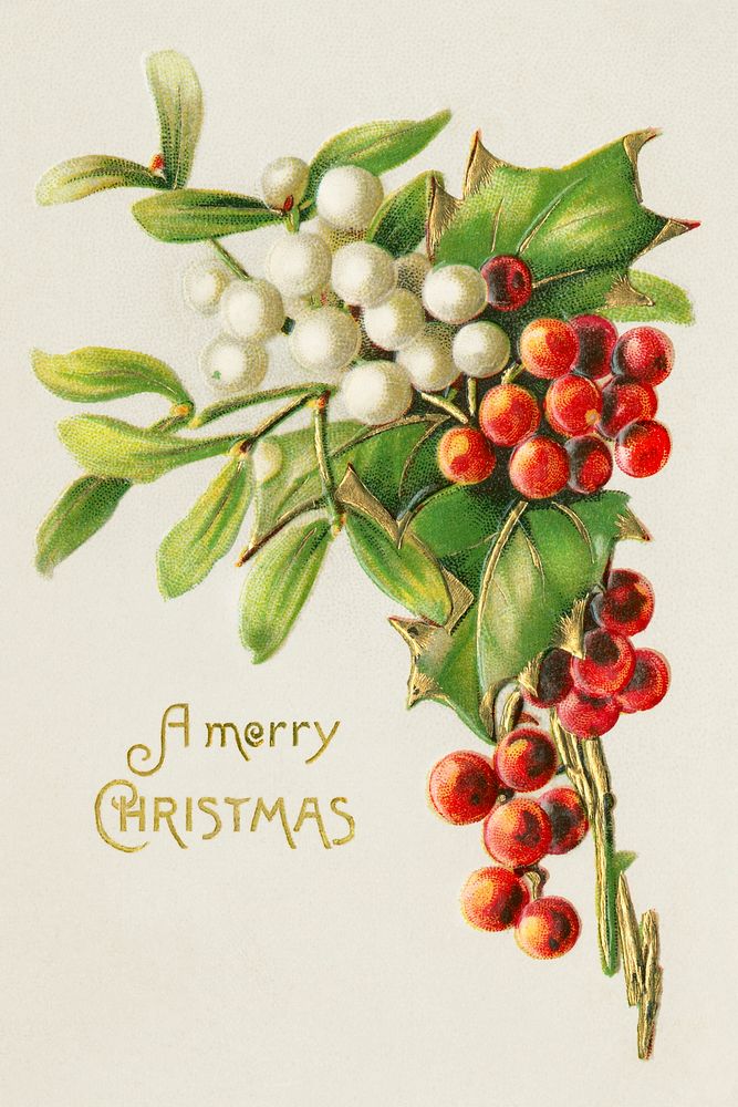 A Merry Christmas (ca.1900s) from The Miriam and Ira D. Wallach Division of Art, Prints and Photographs: Picture Collection.…