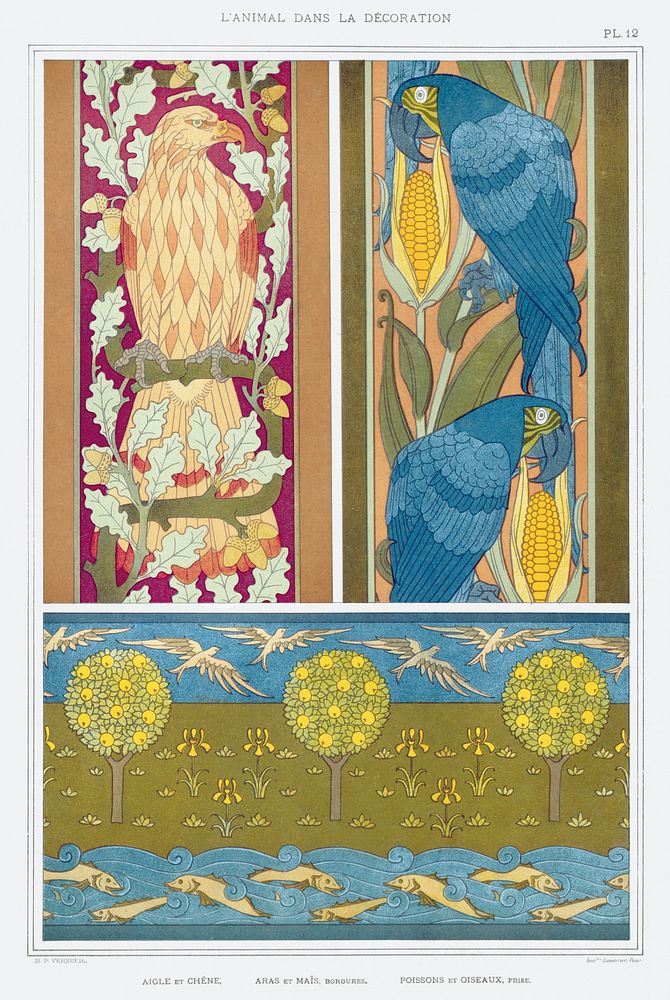 Aigle et ch&ecirc;ne, aras et ma&iuml;s, bordures. Poissons et oiseaux, frise from L'animal dans la d&eacute;coration (1897)…