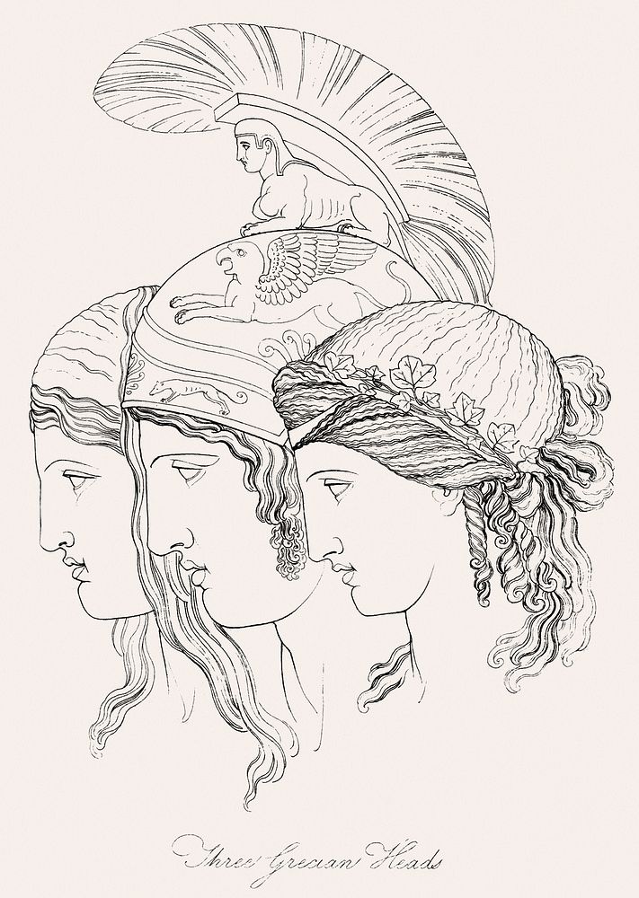 Three Grecian heads from An illustration of the Egyptian, Grecian and Roman costumes by Thomas Baxter…