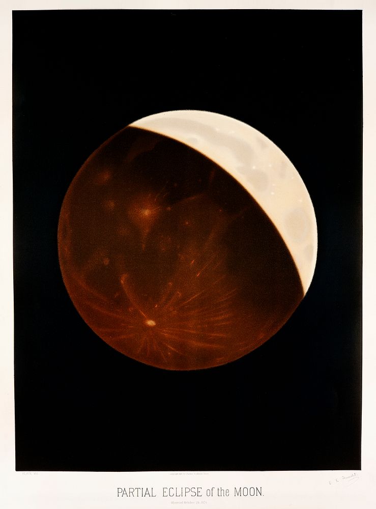 Partial eclipse of the moon from the Trouvelotastronomical drawings (1881-1882) by E. L. Trouvelot (1827-1895). Original…