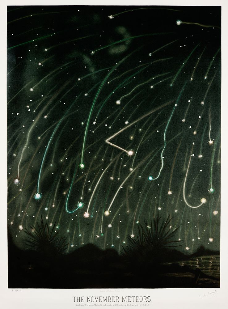The November meteors from the Trouvelotastronomical drawings (1881-1882) by E. L. Trouvelot (1827-1895)