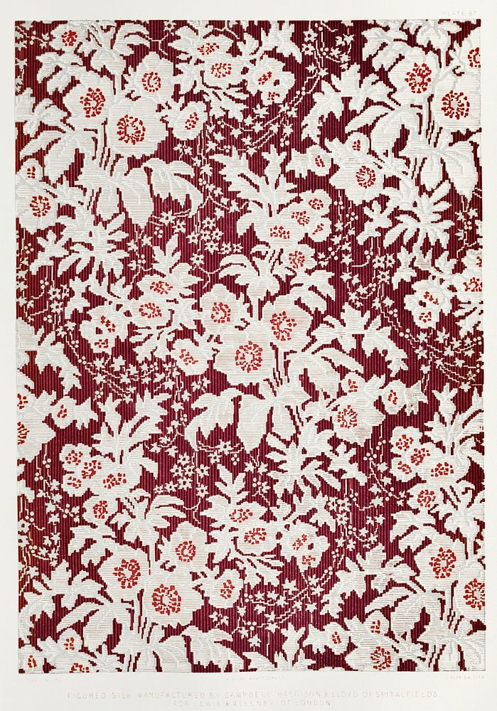 Figured silk from the Industrial arts of the Nineteenth Century (1851-1853) by Sir Matthew Digby wyatt (1820-1877).