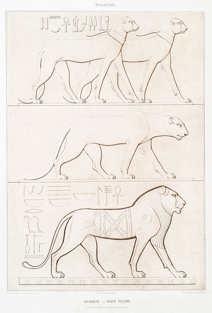 Animals - feline from Histoire de l'art &eacute;gyptien (1878) by &Eacute;mile Prisse d'Avennes. Original from The New York…