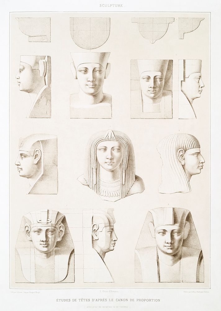 Studies of heads according to Canon of Proportion from Histoire de l'art &eacute;gyptien (1878) by &Eacute;mile Prisse…