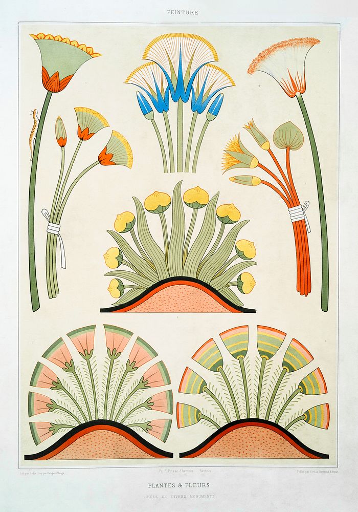 Plants & Flowers from Histoire de l'art &eacute;gyptien (1878) by &Eacute;mile Prisse d'Avennes. Original from The New York…