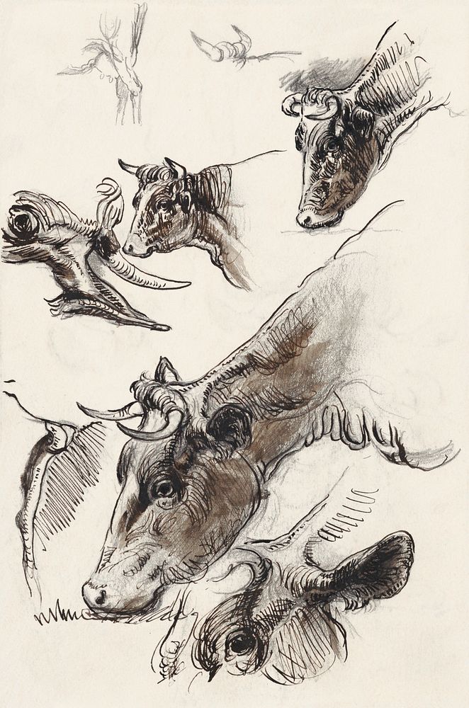 Sketches of Cattle, Irvington (September 1876) by Samuel Colman. Original from The Smithsonian Institution. Digitally…