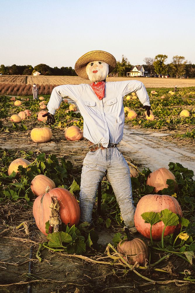 Scarecrow in Maryland. Original image from Carol M. Highsmith&rsquo;s America, Library of Congress collection. Digitally…