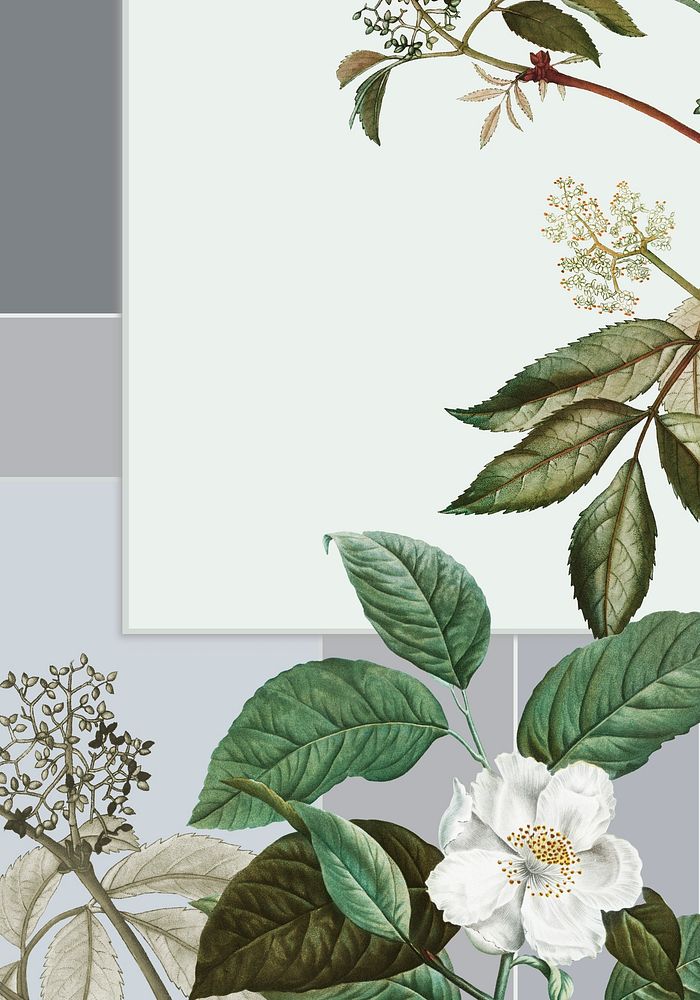 Vintage botanical frame design illustration