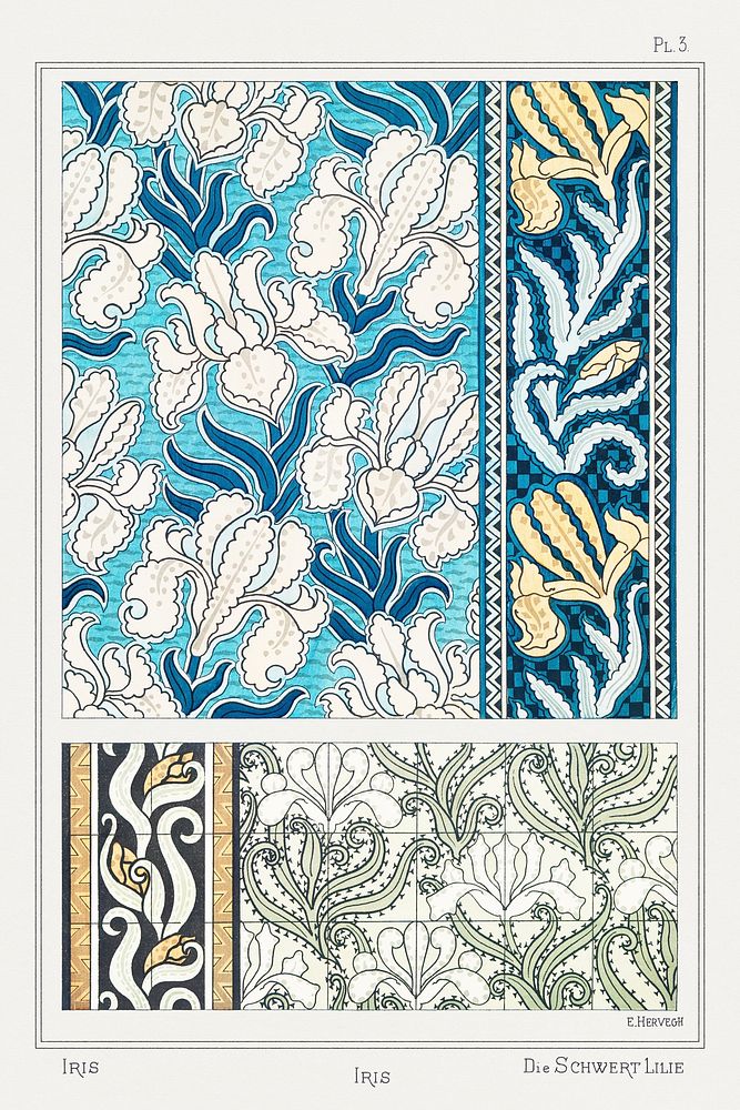 Art nouveau iris flower pattern collection design resource