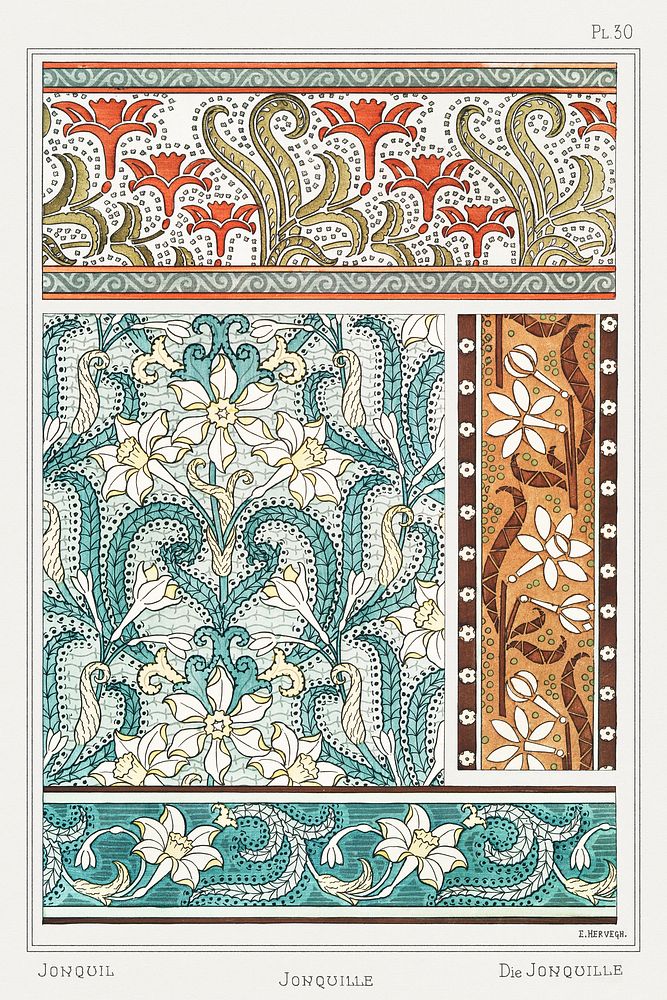 Art nouveau jonquil flower pattern collection design resource