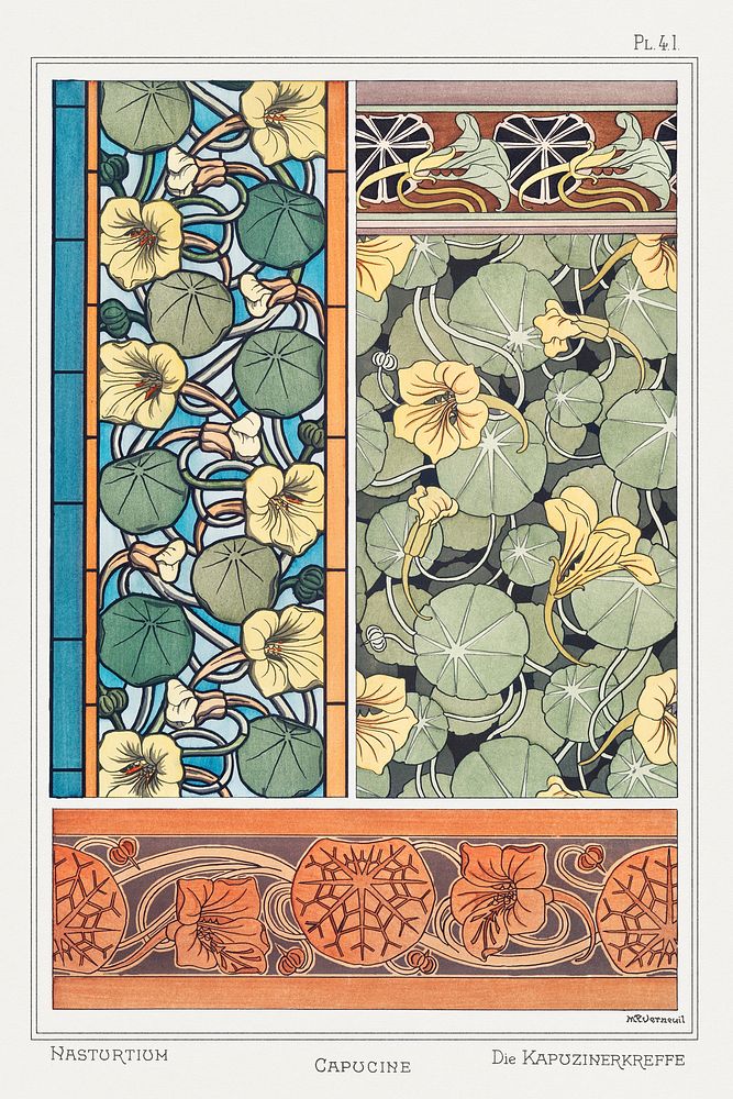 Art nouveau nasturtium flower pattern collection design resource