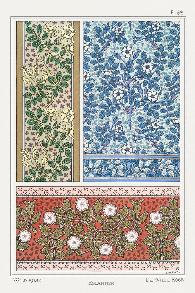 Art nouveau wild rose flower pattern collection design resource
