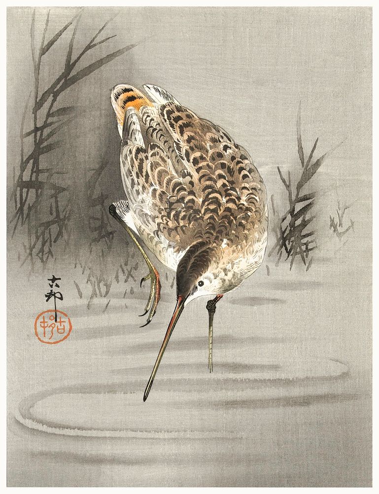 Snip in the water (1900 - 1930) by Ohara Koson (1877-1945). Original from The Rijksmuseum. Digitally enhanced by rawpixel.