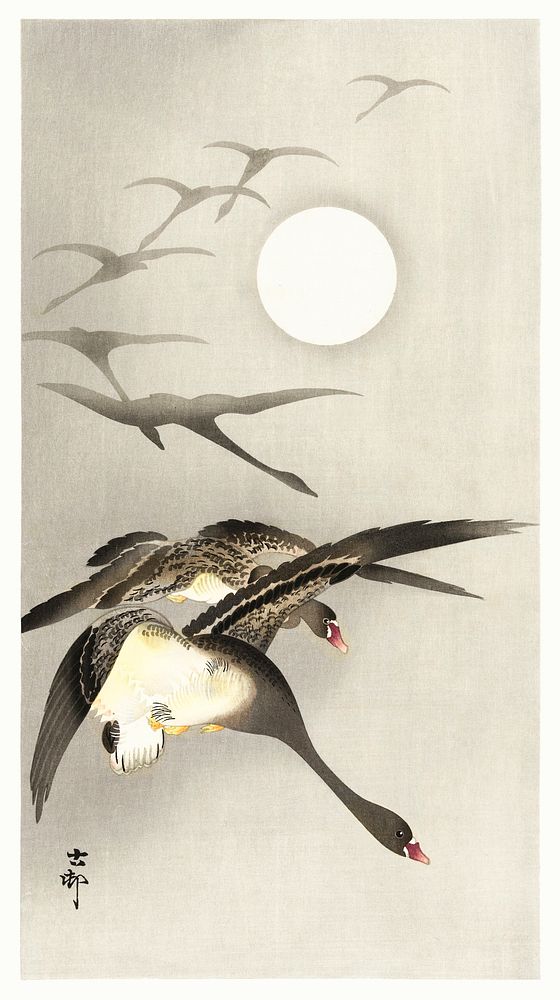 Geese at full moon (1930 - 1945) by Ohara Koson (1877-1945). Original from The Rijksmuseum. Digitally enhanced by rawpixel.