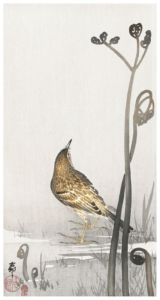 Pipit on a waterfront (1900-1910) by Ohara Koson (1877-1945). Original from The Rijksmuseum. Digitally enhanced by rawpixel.