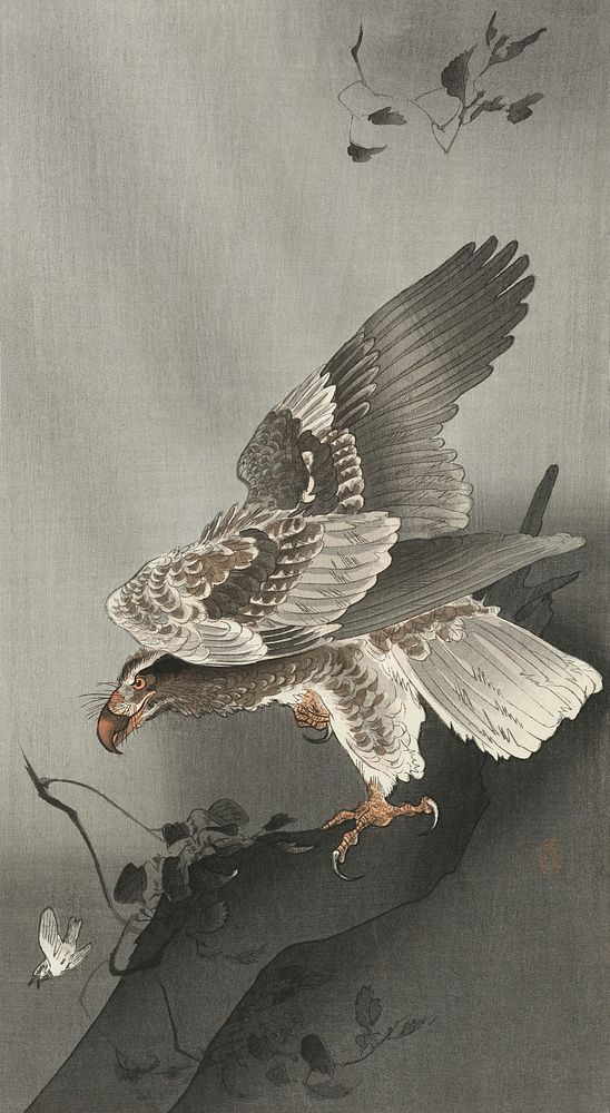 Eagle lurking at a prey (1877-1930) by Ohara Koson (1877-1945). Original from The Rijksmuseum. Digitally enhanced by…