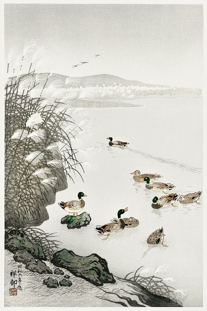 Ducks in the water (1931) by Ohara Koson (1877-1945). Original from The Rijksmuseum. Digitally enhanced by rawpixel.