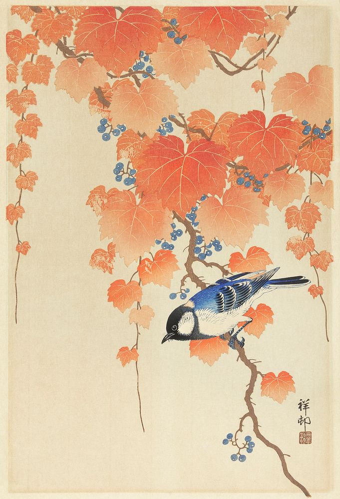 Great tit on paulownia branch (1925 - 1936) by Ohara Koson (1877-1945). Original from The Rijksmuseum. Digitally enhanced by…