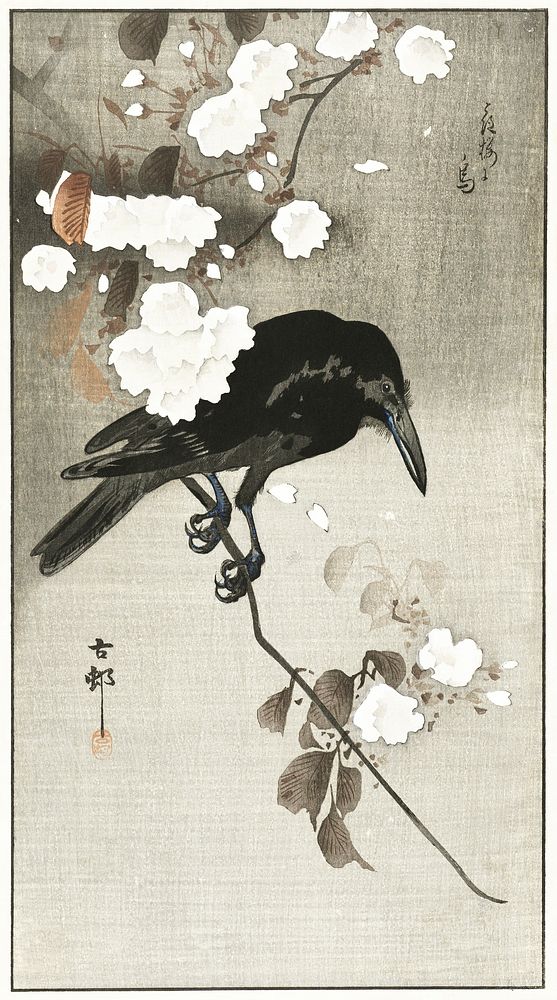 Crow with cherry blossom (1900 - 1930) by Ohara Koson (1877-1945). Original from The Rijksmuseum. Digitally enhanced by…