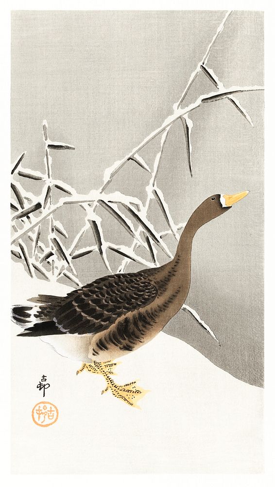 White-fronted goose in the snow (1900 - 1930) by Ohara Koson (1877-1945). Original from The Rijksmuseum. Digitally enhanced…