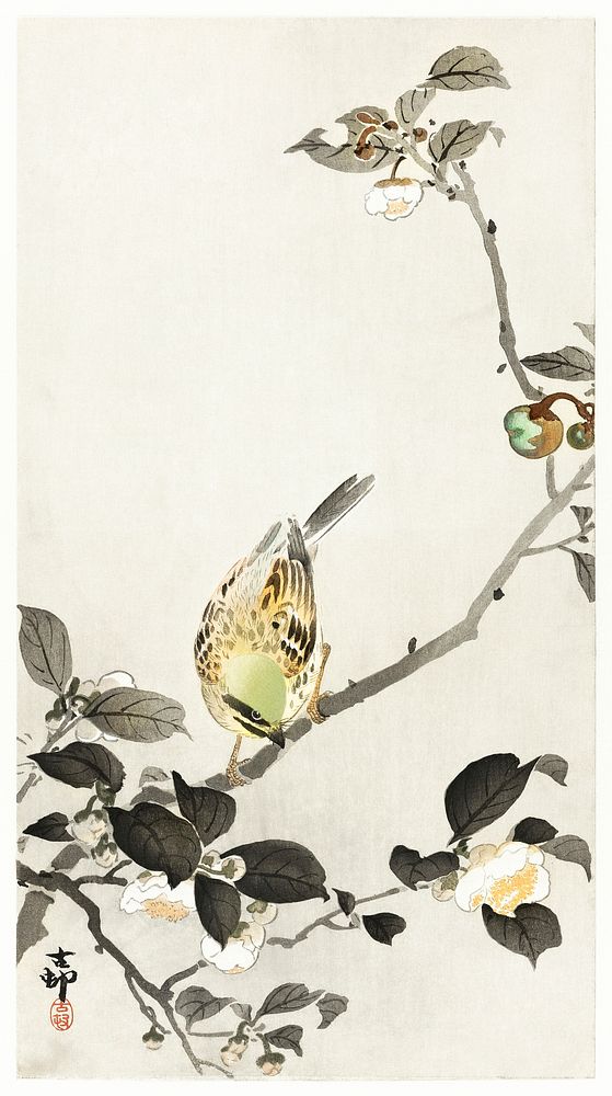 Bunting on blossom branch (1900 - 1930) by Ohara Koson (1877-1945). Original from The Rijksmuseum. Digitally enhanced by…