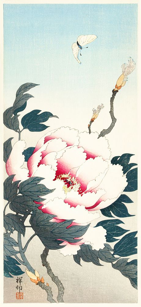Peony with butterfly (1925 - 1936) by Ohara Koson (1877-1945). Original from The Rijksmuseum. Digitally enhanced by rawpixel.
