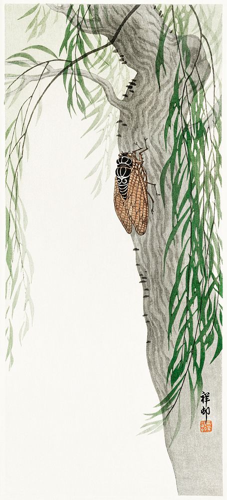 Cicada on tree (1900 - 1936) by Ohara Koson (1877-1945). Original from The Rijksmuseum. Digitally enhanced by rawpixel.