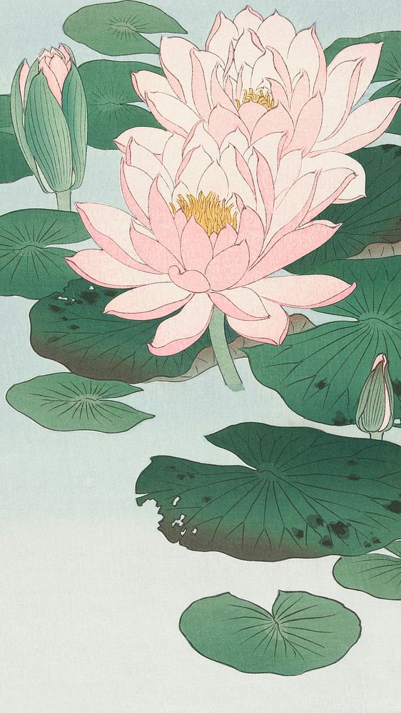 Ohara Koson iPhone wallpaper, phone background, Water Lily Japanese print