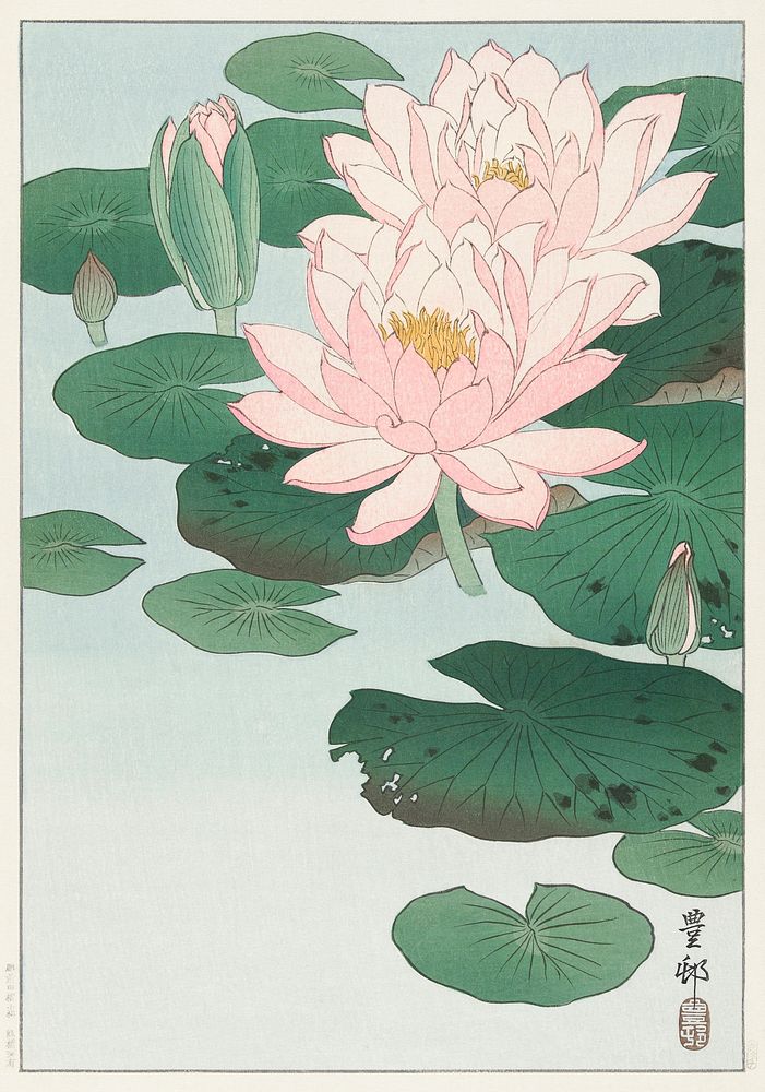 Water Lily (1920 - 1930) by Ohara Koson (1877-1945). Original from The Rijksmuseum. Digitally enhanced by rawpixel.