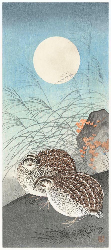 Two quails at full moon (1900 - 1936) by Ohara Koson (1877-1945). Original from The Rijksmuseum. Digitally enhanced by…