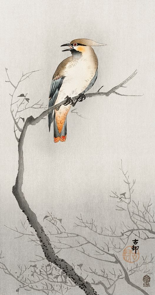 Japanese plague bird on branch (1900 - 1910) by Ohara Koson (1877-1945). Original from The Rijksmuseum. Digitally enhanced…