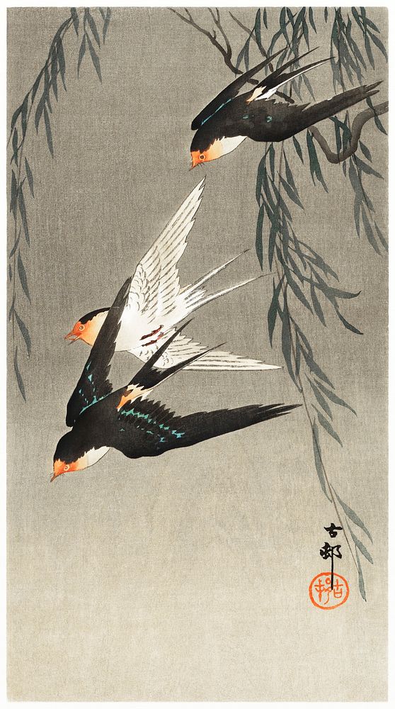 Three red-tailed swallows in dive (1900-1930) by Ohara Koson (1877-1945). Original from The Rijksmuseum. Digitally enhanced…