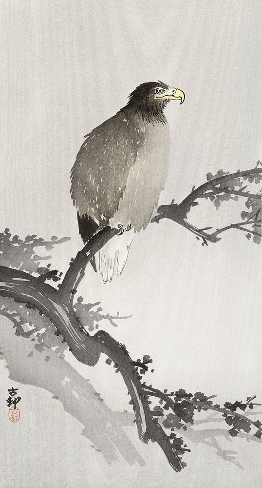 White-tailed eagle on branch (1900 - 1930) by Ohara Koson (1877-1945). Original from The Rijksmuseum. Digitally enhanced by…