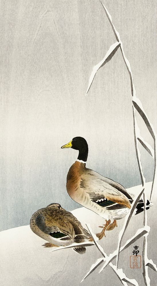 Two ducks on snowy reed (1900 - 1930) by Ohara Koson (1877-1945). Original from The Rijksmuseum. Digitally enhanced by…