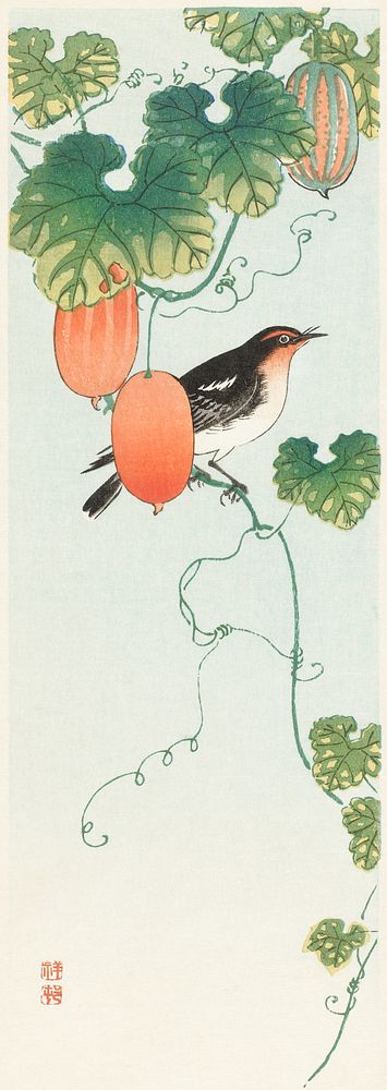 Songbird in cucumber plant (1925 - 1936) by Ohara Koson (1877-1945). Original from The Rijksmuseum. Digitally enhanced by…
