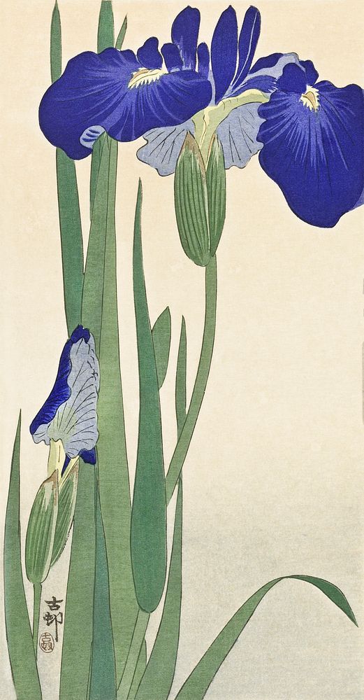 Blue Irises (1900 - 1930) by Ohara Koson (1877-1945). Original from The Rijksmuseum. Digitally enhanced by rawpixel.