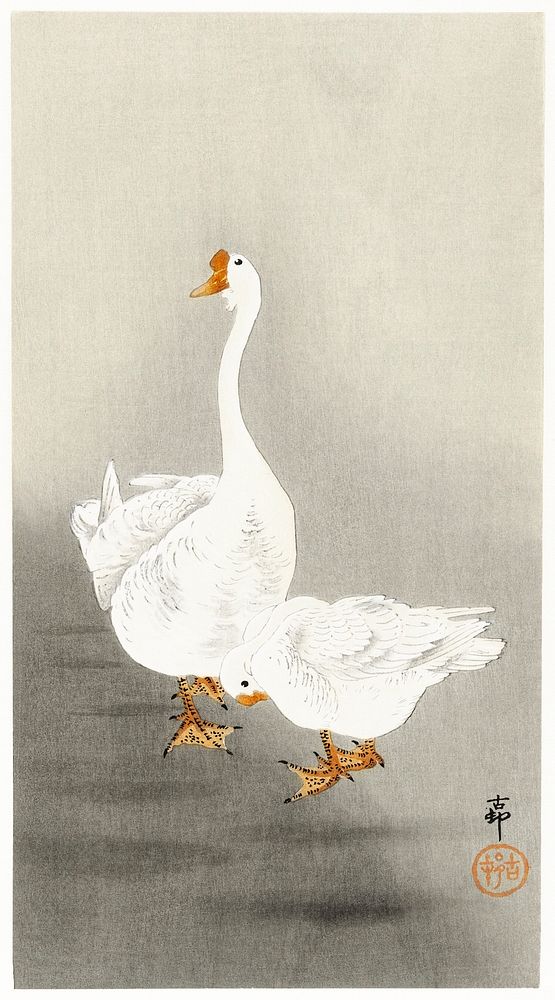 Two geese (1900 - 1930) by Ohara Koson (1877-1945). Original from The Rijksmuseum. Digitally enhanced by rawpixel.