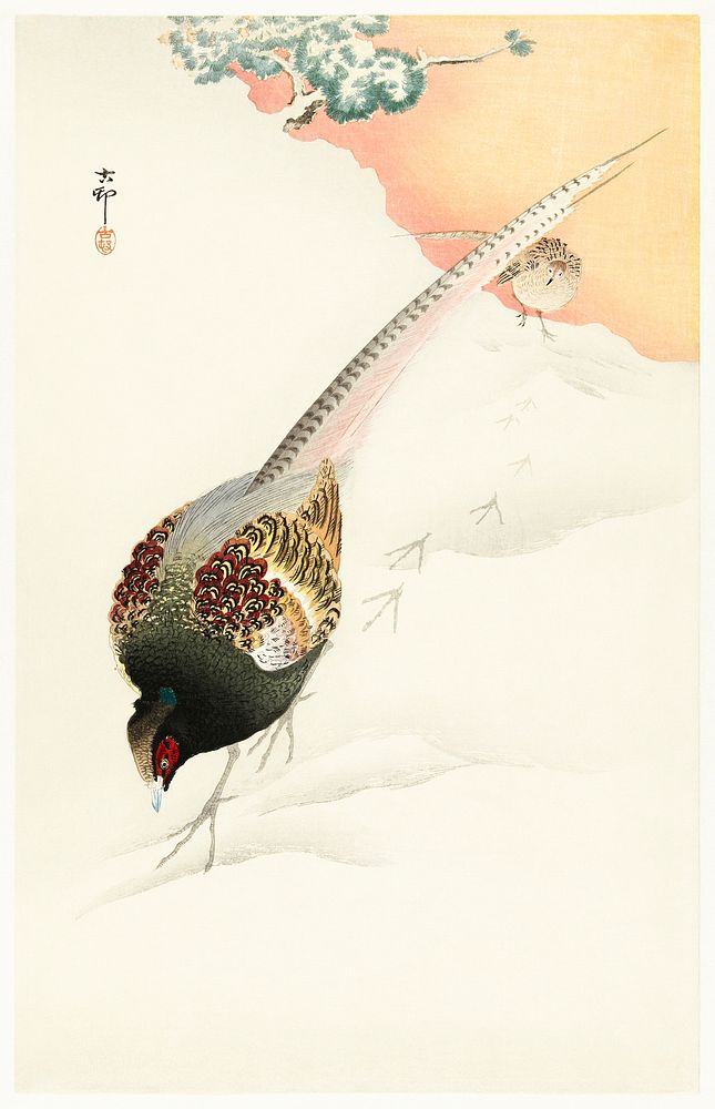 Pheasant couple in the snow (1900 - 1945) by Ohara Koson (1877-1945). Original from The Rijksmuseum. Digitally enhanced by…