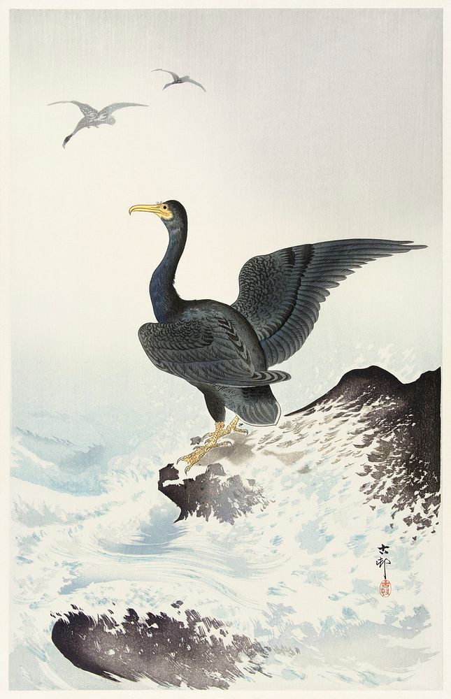 Red mask cormorant on rock (1900 - 1936) by Ohara Koson (1877-1945). Original from The Rijksmuseum. Digitally enhanced by…